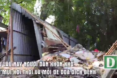 Hà Nội: Nắng nóng cả khu dân cư méo mặt vì mùi hôi thối nồng nặc