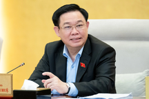 Đề xuất nâng mức tiền cọc, tăng cường đấu giá trực tuyến