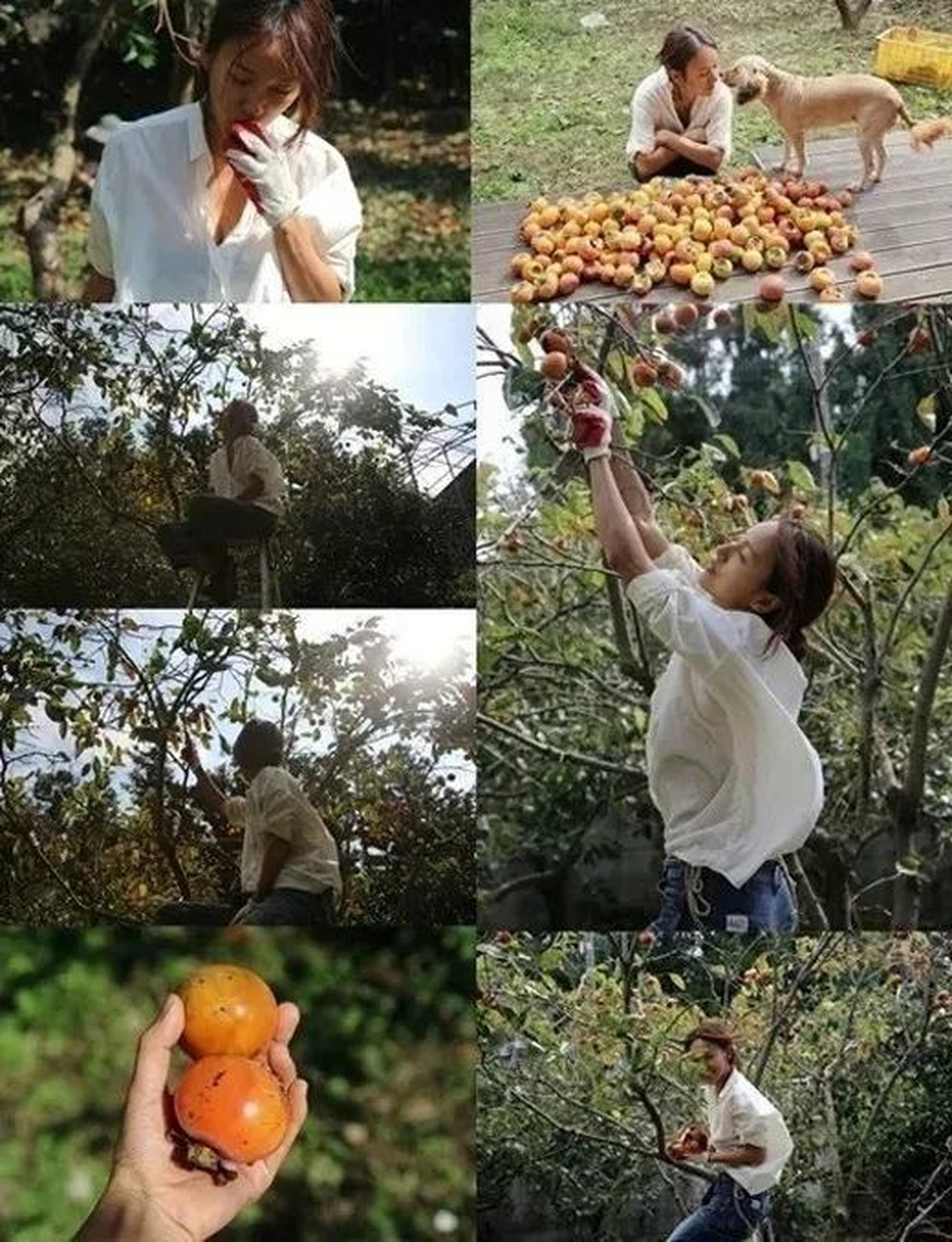 Lee Hyori: Sức hấp dẫn và đặc quyền của “tượng đài gợi cảm showbiz Hàn” - 13 Lee Hyori: Sức hấp dẫn và đặc quyền của “tượng đài gợi cảm showbiz Hàn” - 13