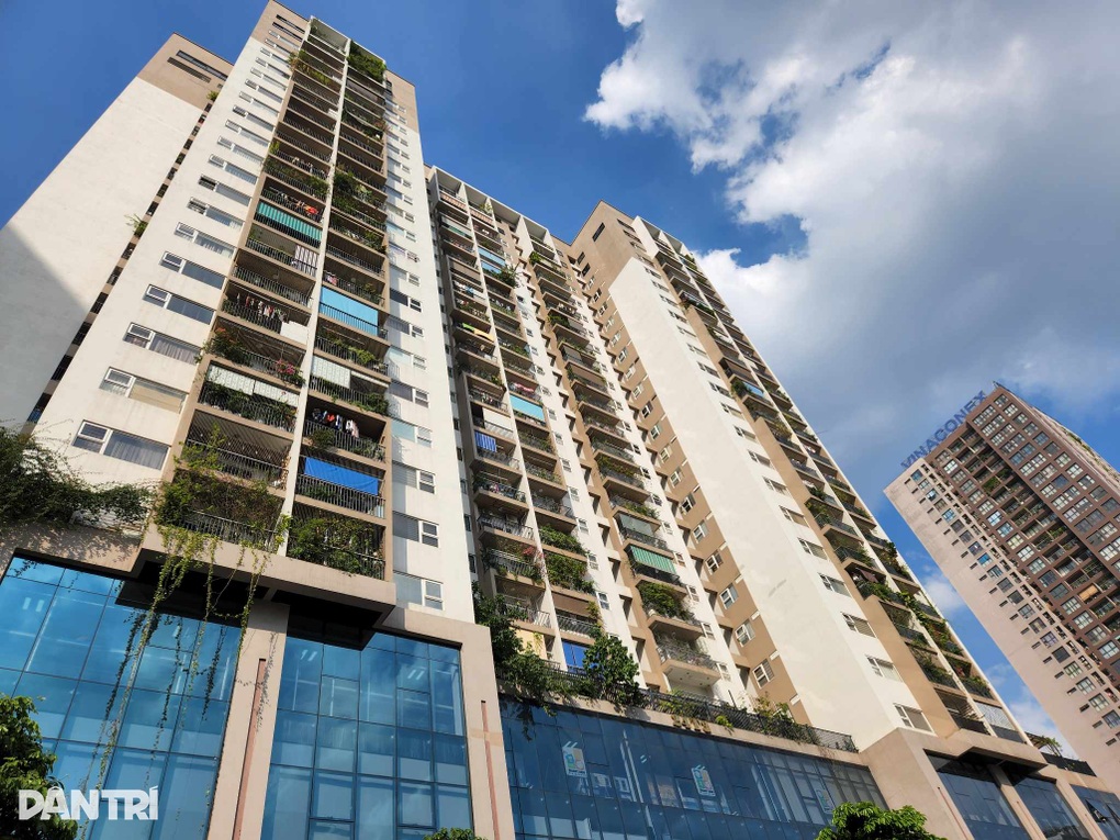 Người có tiền mặt bắt đầu bắt đáy bất động sản cắt lỗ - 1 Người có tiền mặt bắt đầu bắt đáy bất động sản cắt lỗ - 1
