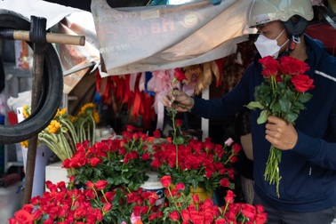 Cánh mày râu tất bật chọn hoa, tặng người yêu nhân ngày Valentine