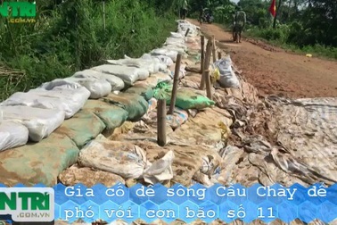 Huy động hàng trăm chiến sĩ bộ đội đắp đê ứng phó với cơn bão số 11
