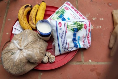 Bí quyết chăm sóc rau củ xanh tốt quanh năm không hóa chất của cô nàng 9x