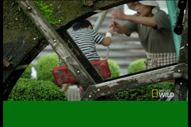 “Giải mã” hệ thống lọc nước bằng cá chép của người Nhật khiến cả thế giới thán phục