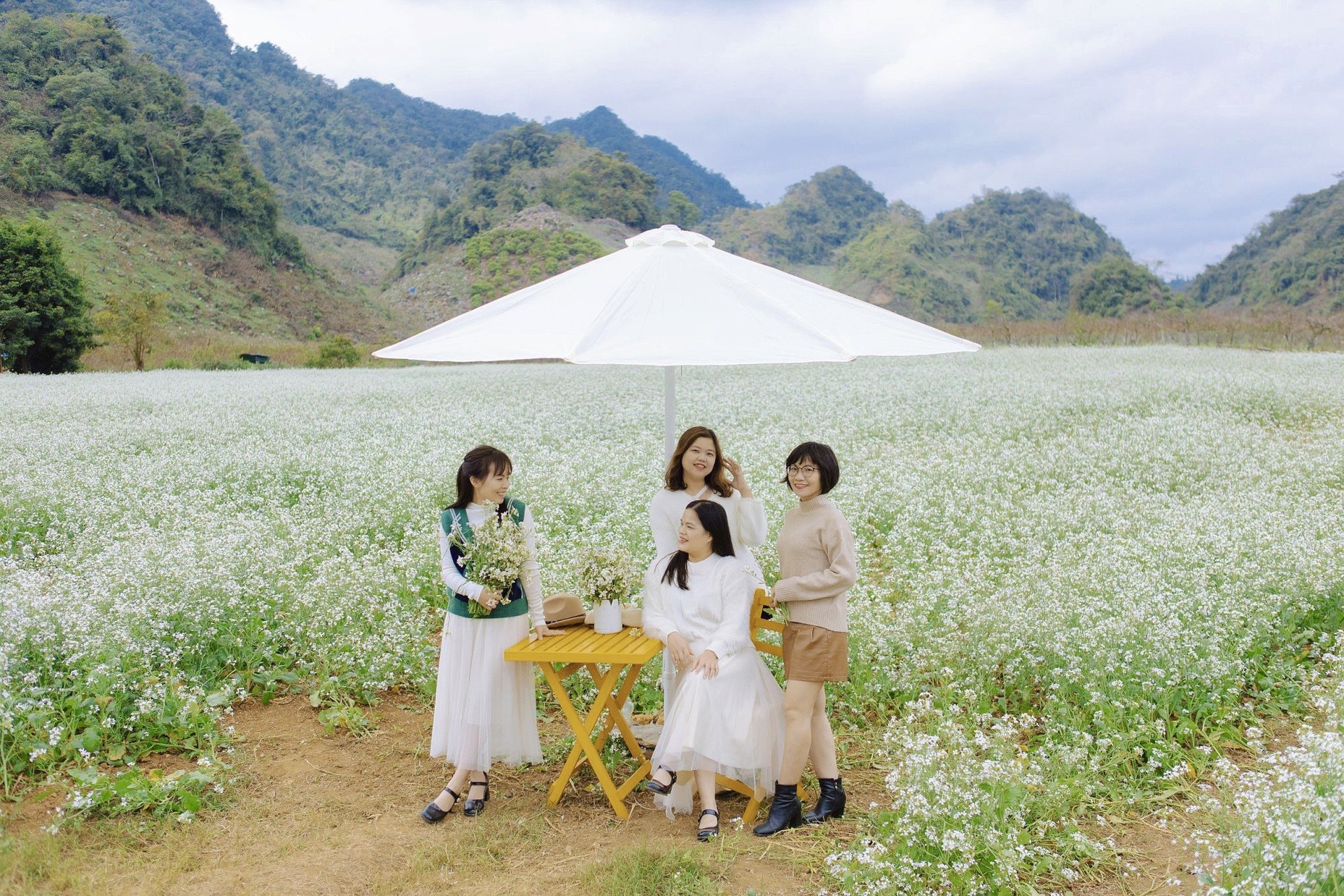 White mustard flowers are vast in Moc Chau, tourists from everywhere flock to take photos - 11