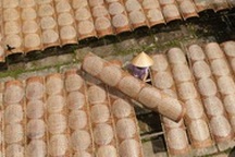 Làng nghề bánh tráng Cù Lao Mây mong vụ Tết