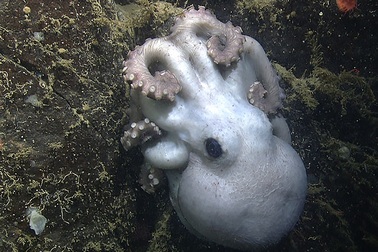 Những hình ảnh khoa học ấn tượng nhất năm 2014