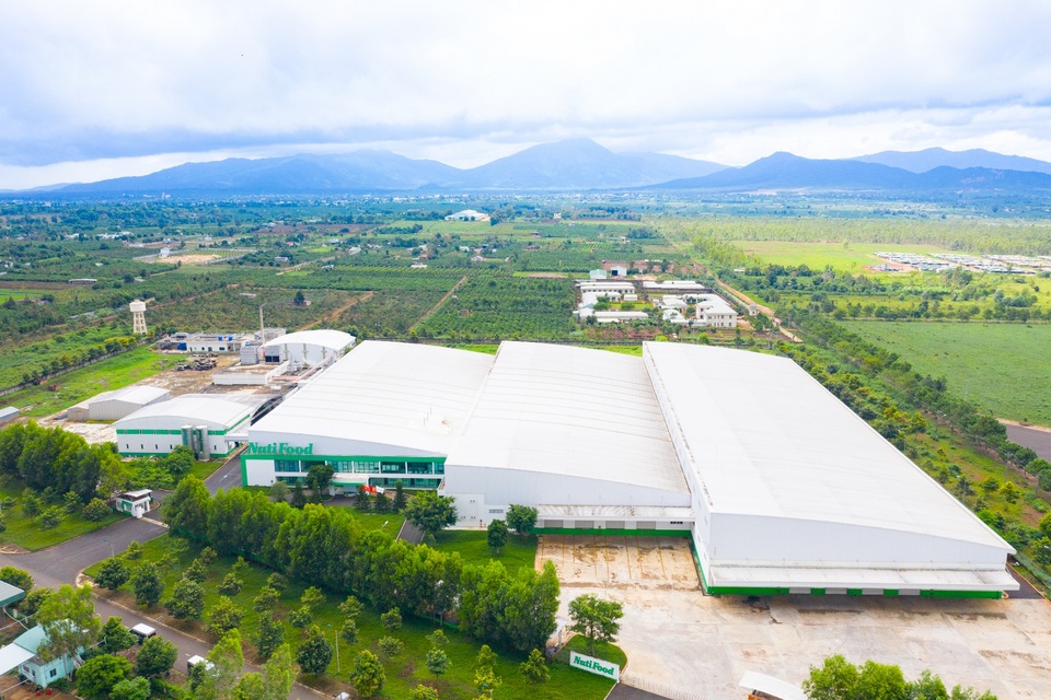 Trang trại bò sữa Nutimilk nâng chuẩn sữa tươi Việt ngang tầm thế giới - 1 Trang trại bò sữa Nutimilk nâng chuẩn sữa tươi Việt ngang tầm thế giới - 1