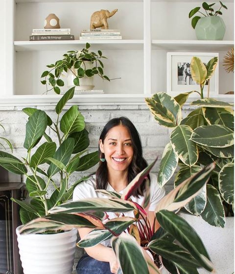 Lạ mắt với ngôi nhà trồng hơn 100 loại cây xanh, ai nhìn cũng mê mẩn - 8 Lạ mắt với ngôi nhà trồng hơn 100 loại cây xanh, ai nhìn cũng mê mẩn - 8