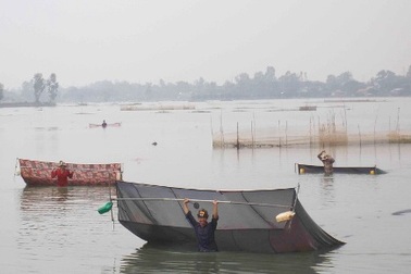 Nghề độc: Kéo trứng nước kiếm nửa triệu đồng mỗi ngày