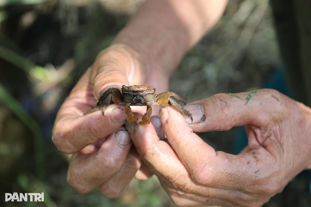 Cán bộ nghỉ hưu ném tiền qua cửa sổ thu hàng trăm triệu đồng/năm - 3