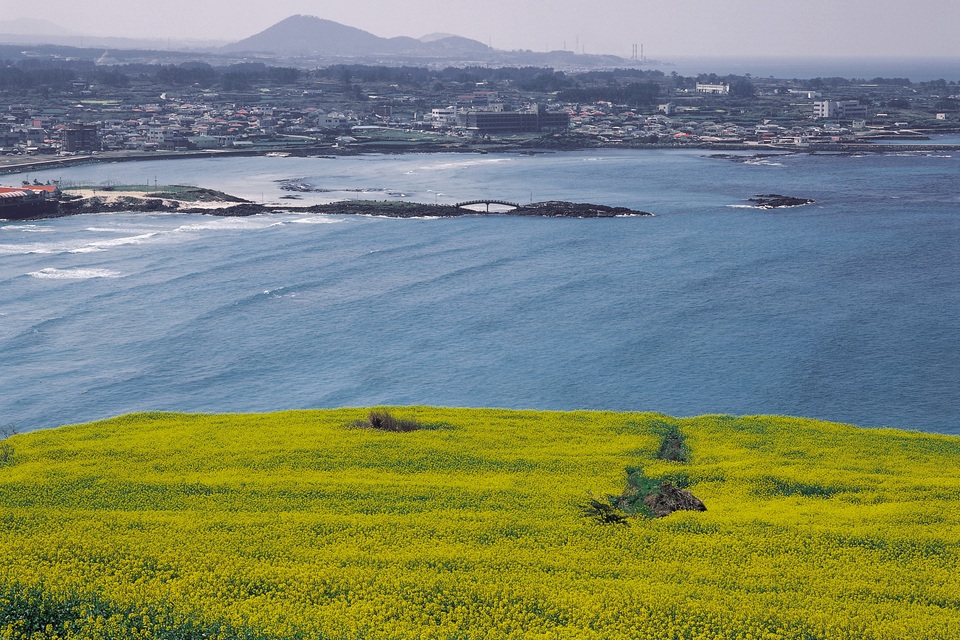 Khám phá xứ Hàn trong mùa tuyết rơi - 4 Khám phá xứ Hàn trong mùa tuyết rơi - 4