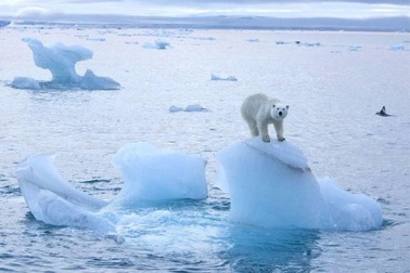 "Bắc Cực Xanh" mở rộng cánh cửa cho Mỹ ở Thái Bình Dương