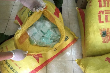 Thu giữ hơn 100.000 ống thuốc kích thích giá đỗ