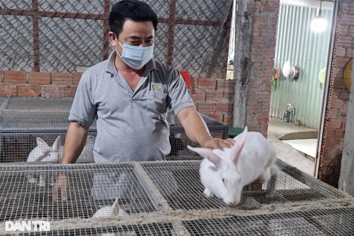 Kỹ sư cơ khí bỏ việc ở phố lên đồi nuôi thỏ lai, kiếm 30 triệu đồng/tháng - 2 Kỹ sư cơ khí bỏ việc ở phố lên đồi nuôi thỏ lai, kiếm 30 triệu đồng/tháng - 2
