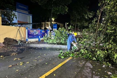 Dông lốc khiến cây xanh, cột điện ngã đổ đè xe máy ở TPHCM