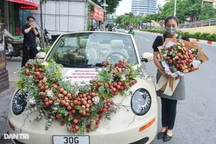 Sự thật về chiếc xe rước dâu kết... vải thiều gây xôn xao mạng xã hội