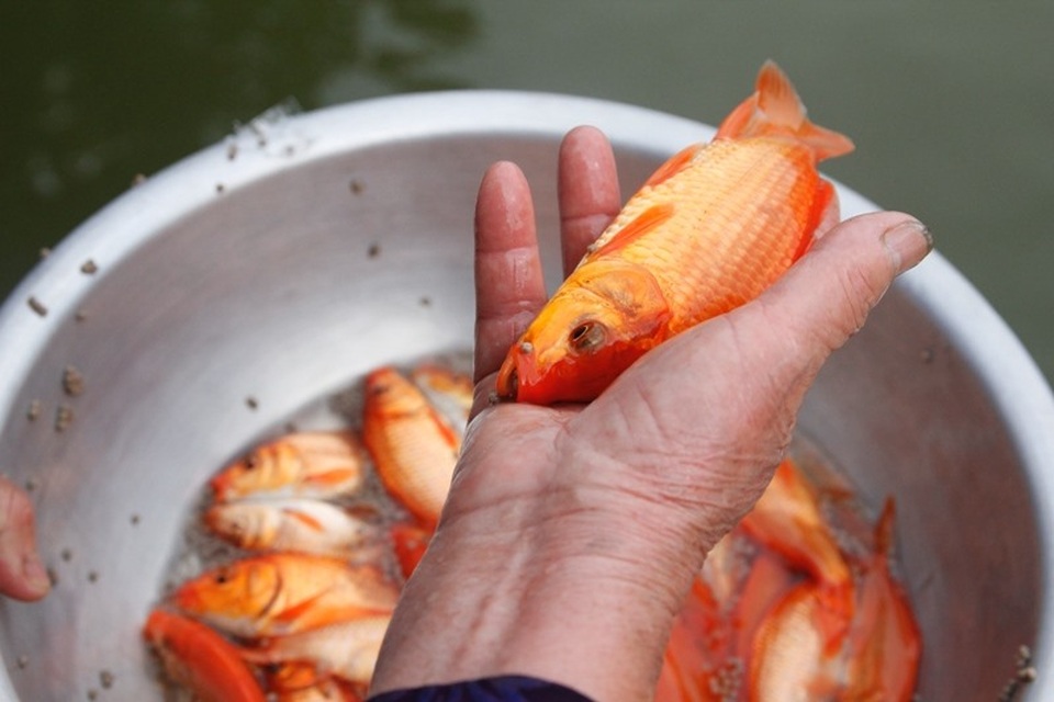 Những điều nên tránh vào ngày cúng ông Công ông Táo - 4 Những điều nên tránh vào ngày cúng ông Công ông Táo - 4