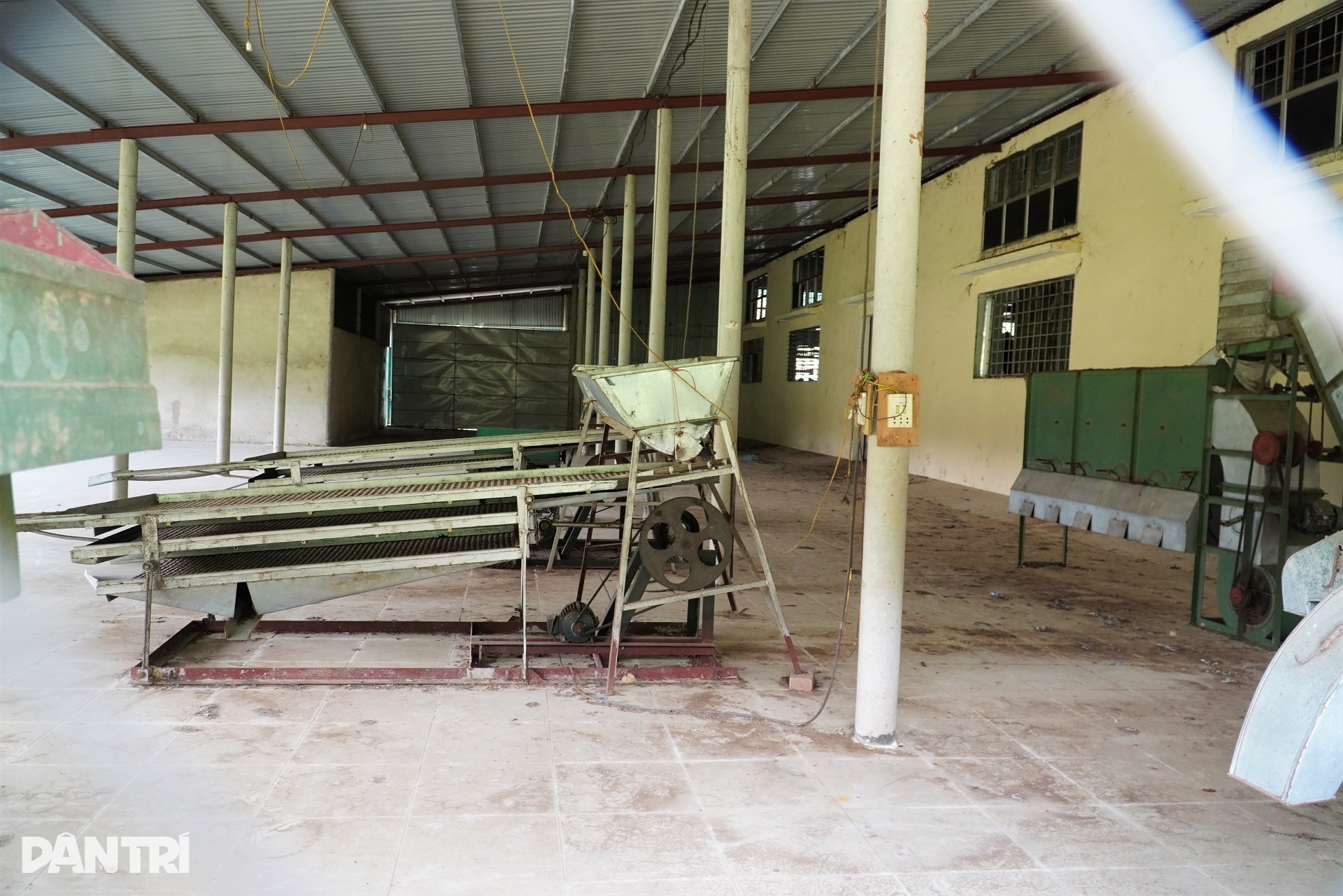 Nhà máy chế biến chè tiền tỷ đắp chiếu, máy móc gỉ sét - 2 Nhà máy chế biến chè tiền tỷ đắp chiếu, máy móc gỉ sét - 2