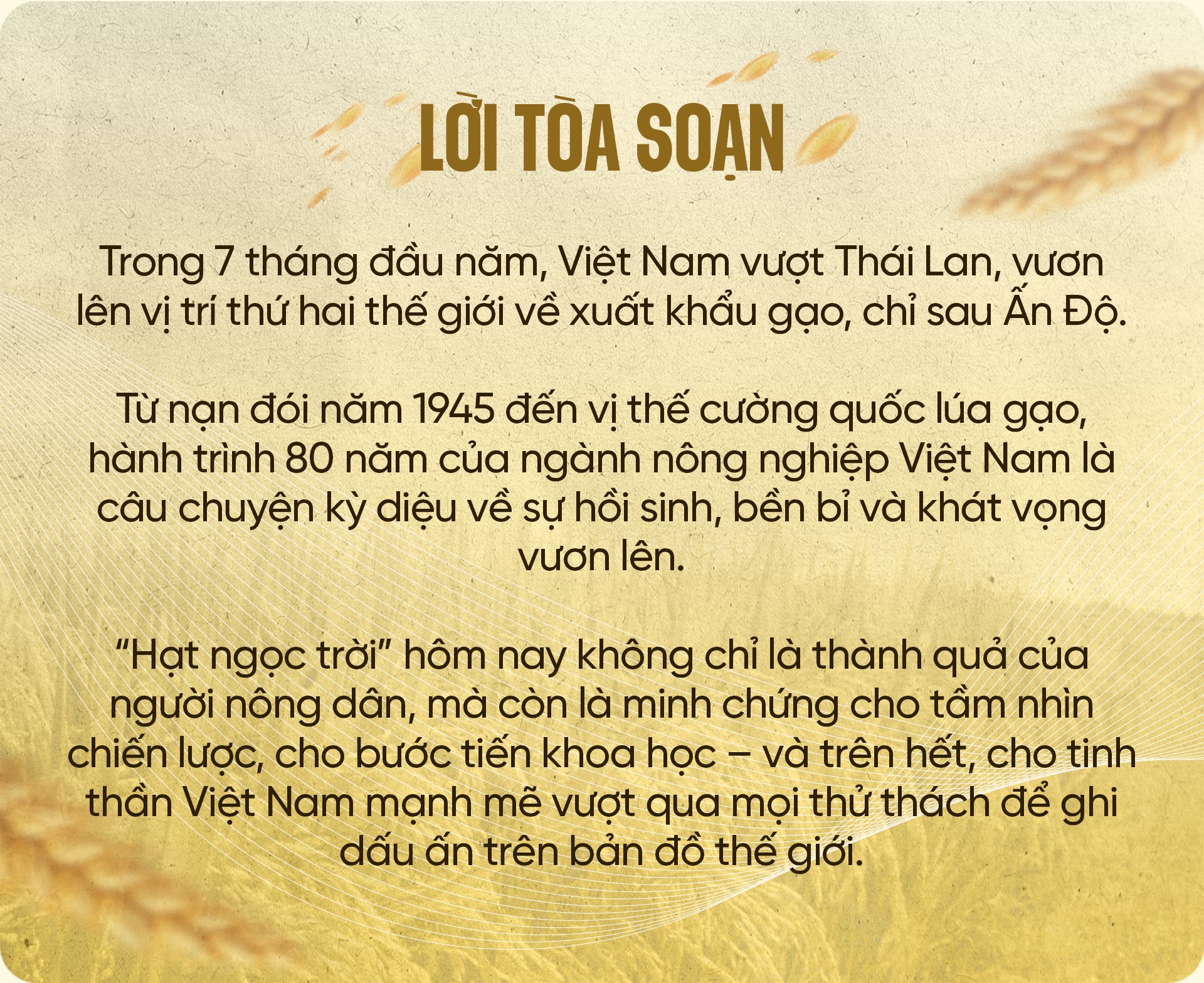 80 năm cây lúa Việt: Từ nạn đói 1945 đến hạt gạo ngon nhất thế giới - 1 80 năm cây lúa Việt: Từ nạn đói 1945 đến hạt gạo ngon nhất thế giới - 1