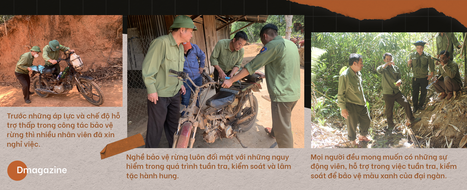 Chảy máu rừng Tây Nguyên: Ăn cám trả vàng và cuộc chiến không cân sức - 19 Chảy máu rừng Tây Nguyên: Ăn cám trả vàng và cuộc chiến không cân sức - 19
