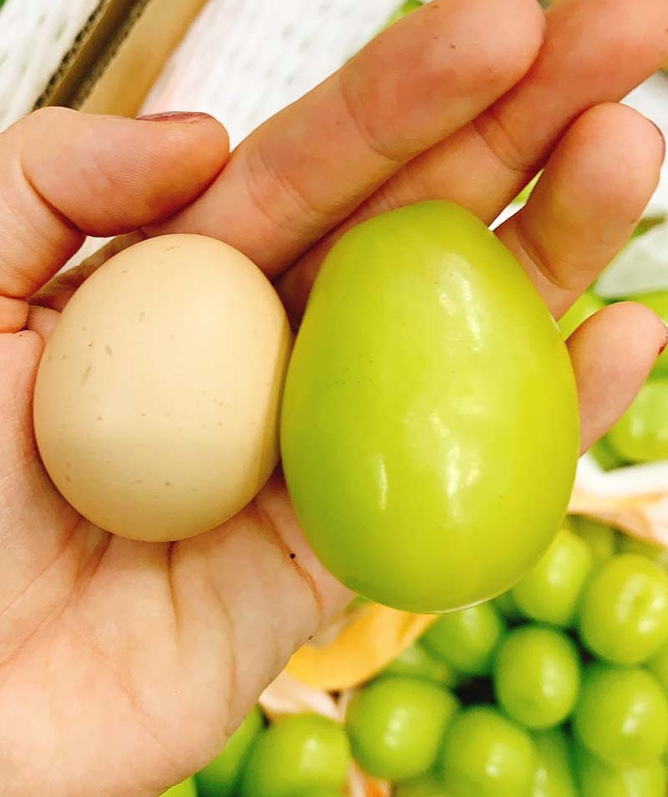 Loại nho to hơn trứng gà: Giá 7 triệu đồng/chùm, có tiền khó mua - 4