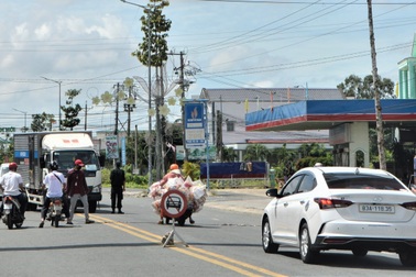 Trở lại "bình thường mới", Sóc Trăng giữ vùng xanh như thế nào?