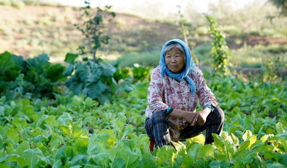 Hành trình kỳ diệu của ông lão 80 tuổi suốt 20 năm trồng cây giữa sa mạc - 5 Hành trình kỳ diệu của ông lão 80 tuổi suốt 20 năm trồng cây giữa sa mạc - 5