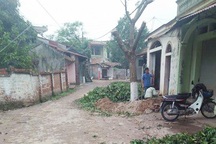 Hàng loạt cây xanh bị chặt hạ trong chiến dịch "đòi" vỉa hè của Hà Nội