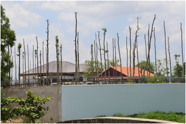 Đã ngỡ ngàng lại càng ngỡ ngàng