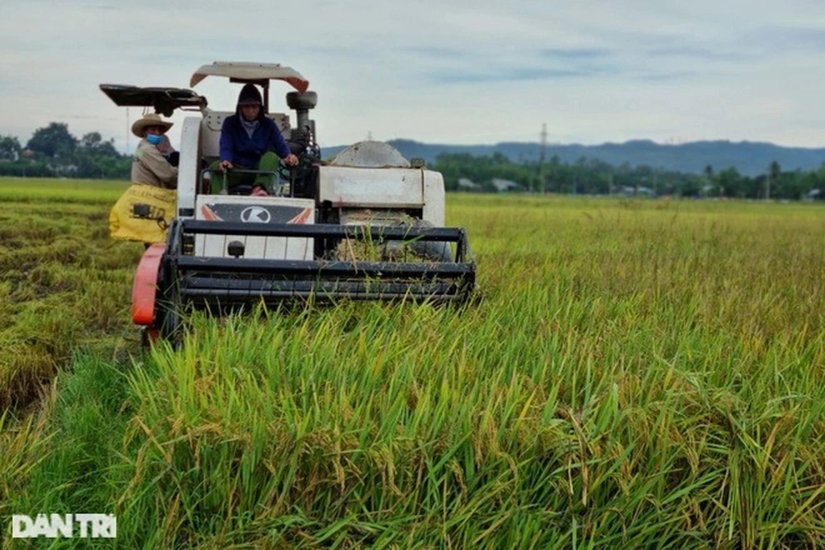 Những quy định về bồi thường khi Nhà nước thu hồi đất nông nghiệp - 1