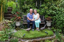 “Thiên đường” của vợ chồng U70 với loạt cây từ khắp nơi trên thế giới