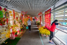 Độc đáo đường hoa xuân trên cầu bộ hành ở bệnh viện