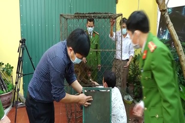 Người dân tự nguyện giao nộp khỉ quý hiếm để thả về tự nhiên