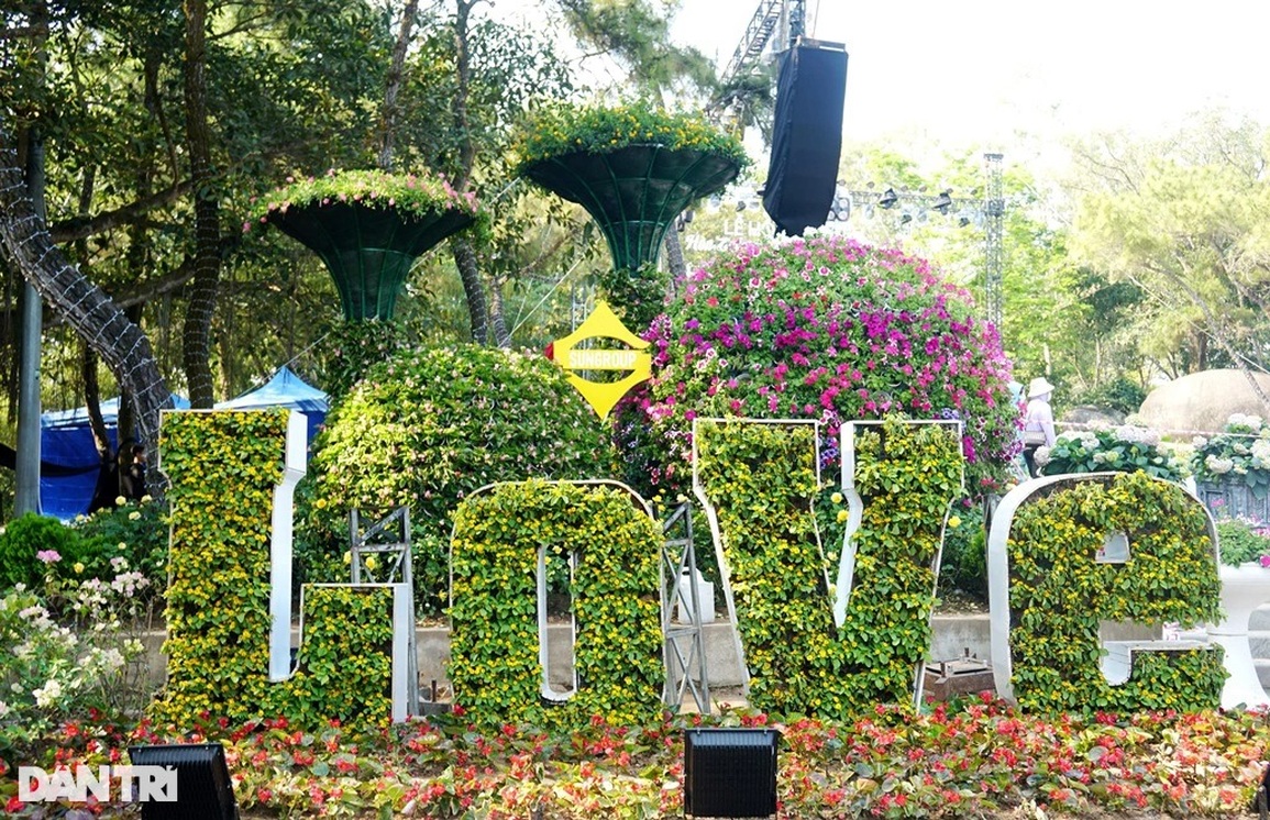 Giới trẻ thỏa sức sống ảo với đường hoa tình yêu trên đỉnh Trường Lệ - 1 Giới trẻ thỏa sức sống ảo với đường hoa tình yêu trên đỉnh Trường Lệ - 1