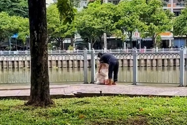 Vứt rác xuống kênh Nhiêu Lộc ở TPHCM, người phụ nữ bị phạt 1,5 triệu đồng