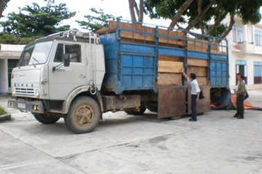 Bắt xe chở gỗ trái phép