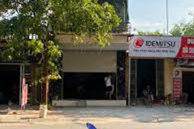 Cơn sốt lan phi điệp đột biến: Trái đắng đầu tiên