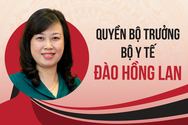Quá trình công tác của Quyền Bộ trưởng Y tế Đào Hồng Lan