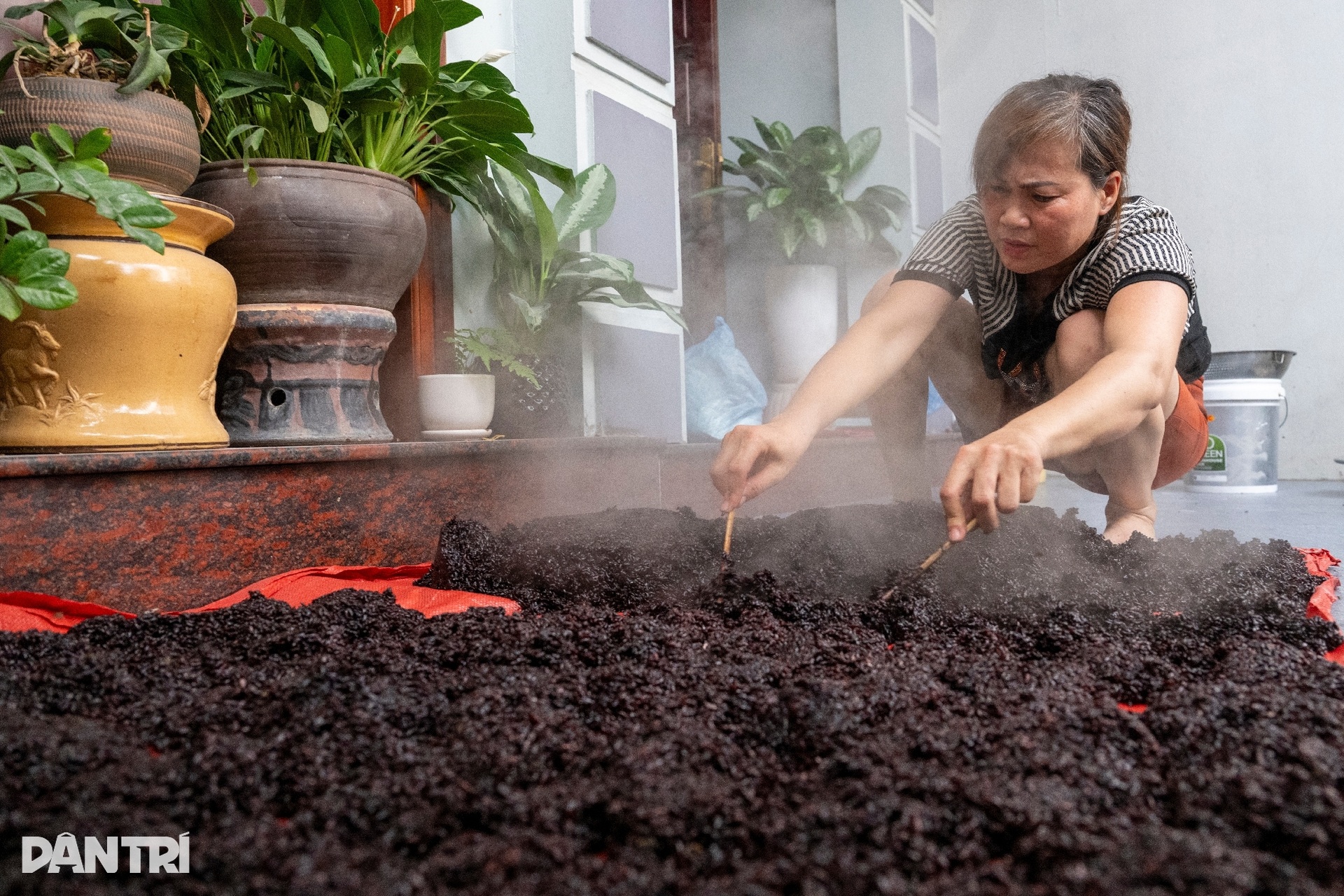 Người làng nghề ở Hà Nội xuyên đêm làm cả tấn rượu nếp phục vụ Tết Đoan Ngọ - 14 Người làng nghề ở Hà Nội xuyên đêm làm cả tấn rượu nếp phục vụ Tết Đoan Ngọ - 14