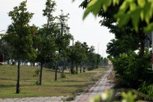 Bộ Công an yêu cầu Phú Yên cung cấp tài liệu dự án cây xanh