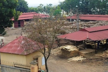 Mang đất của dân biếu doanh nghiệp: Thủ phạm cúi đầu, chính quyền lặng thinh?