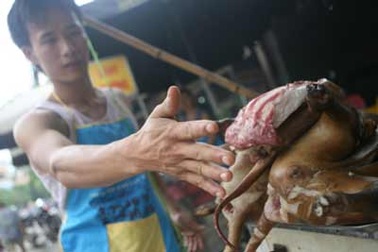 Vào mùa... ngộ độc thực phẩm 