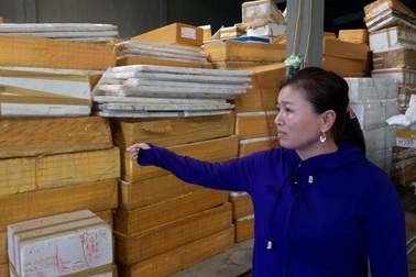 Quảng Bình: Tăng cường giám sát, xét nghiệm hải sản