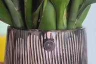 Camera ngụy trang được rao bán công khai: Làm gì để tránh bị quay lén?