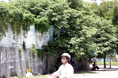 Hà Nội xử lý hàng loạt khu “đất vàng” sử dụng sai mục đích