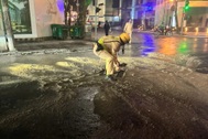 CSGT xúc cát, xử lý vết dầu loang trên phố Hà Nội trong đêm