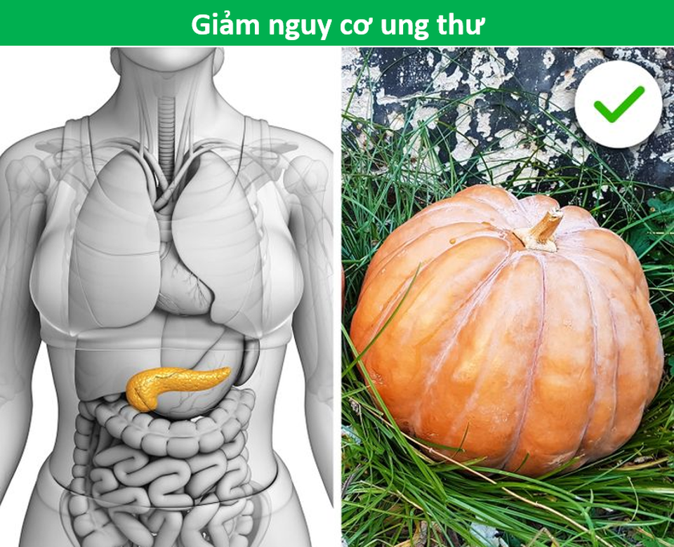Ăn nhiều bí đỏ giúp phòng ngừa hiệu quả ung thư và bệnh tim mạch - 1 Ăn nhiều bí đỏ giúp phòng ngừa hiệu quả ung thư và bệnh tim mạch - 1