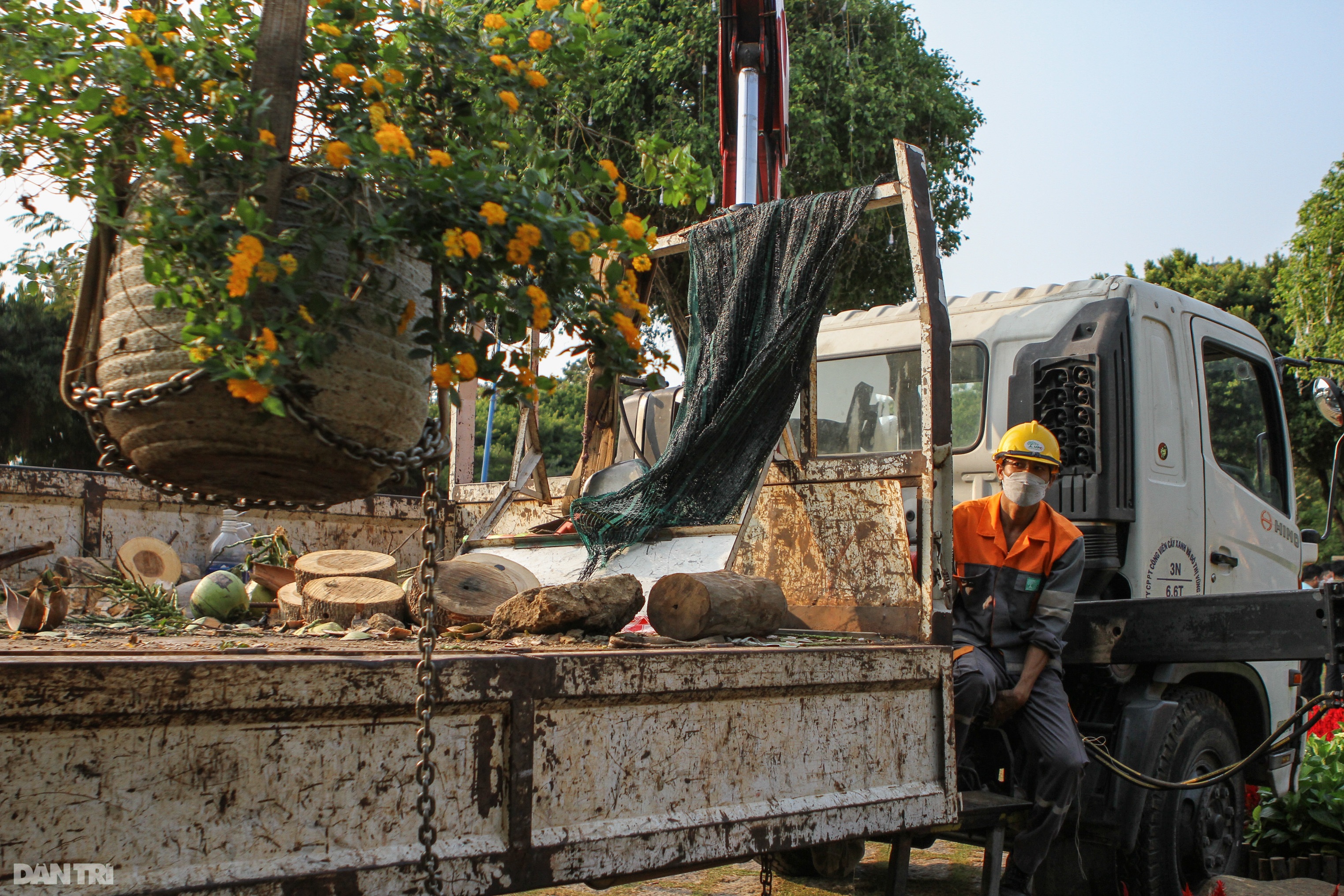 Gia đình hổ uy nghi, hùng tráng tại Hội Xuân thành phố biển Vũng Tàu - 10 Gia đình hổ uy nghi, hùng tráng tại Hội Xuân thành phố biển Vũng Tàu - 10