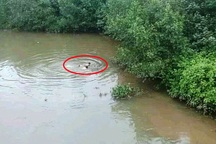 Người đi đường lao xuống sông sâu cứu nữ sinh nhảy cầu